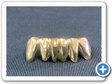 gold-bridge-v3